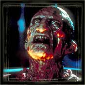freddy.jpg